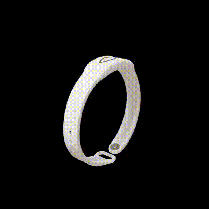 Grace & Glory Daily Bible Verse Bracelet