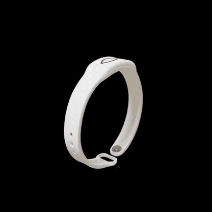 Grace & Glory Daily Bible Verse Bracelet